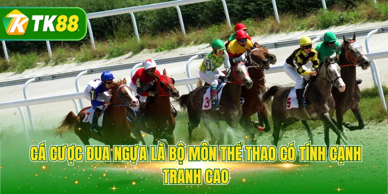 Cá cược đua ngựa là bộ môn thể thao có tính cạnh tranh cao