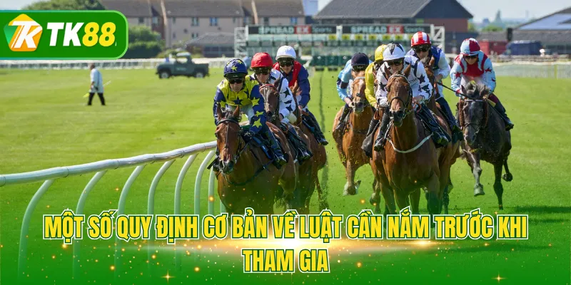 Một số quy định cơ bản về luật cần nắm trước khi tham gia